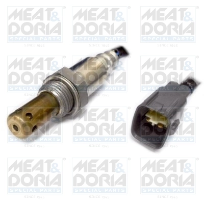 Oxygen Sensor